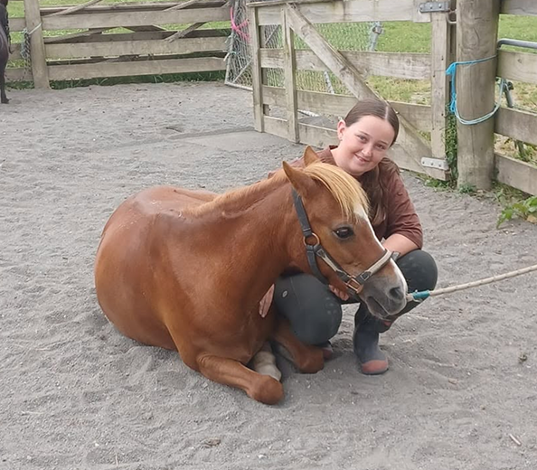 horse-img